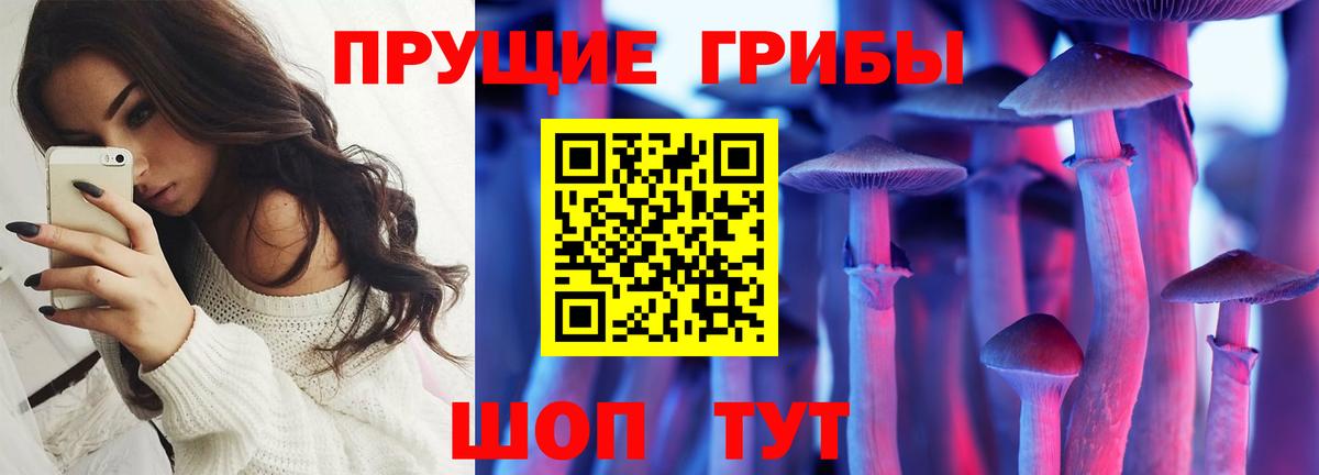 Псилоцибиновые грибы ЛСД Красногорск